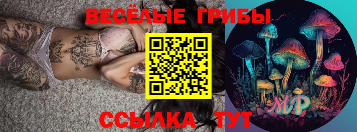 Мыски  Псилоцибиновые грибы мицелий  Вход с VPN 