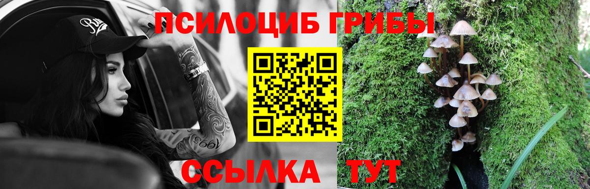 Галлюциногенные грибы GOLDEN TEACHER  Мыски  Галлюциногенные грибы Psilocybe 